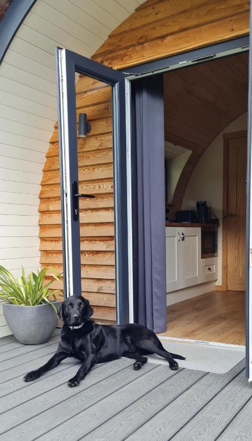Habberley Glamping Pods Hotel Shrewsbury Kültér fotó